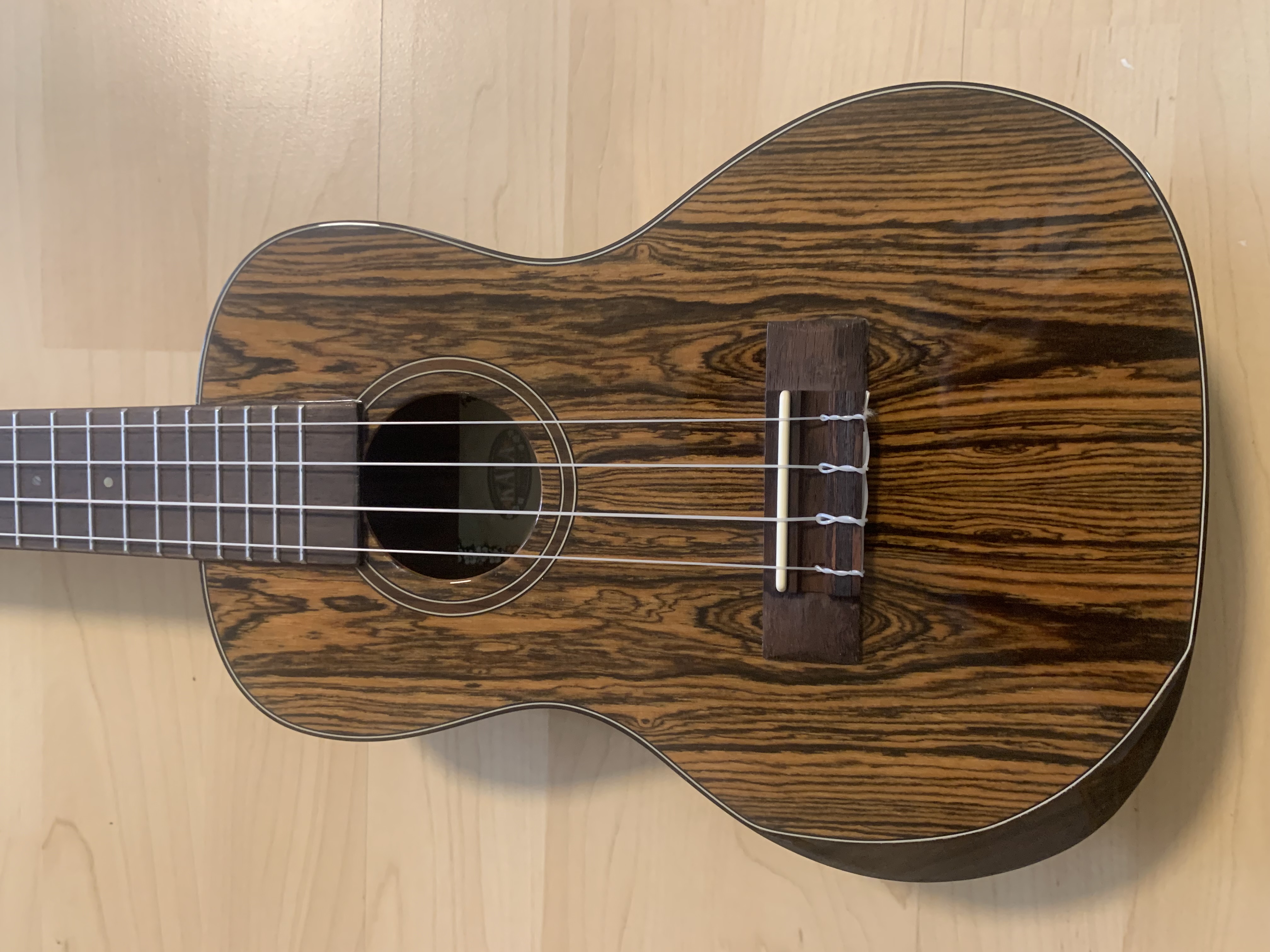 Kala Konzert Ukulele Premier Bocote Elite mit Gigbag