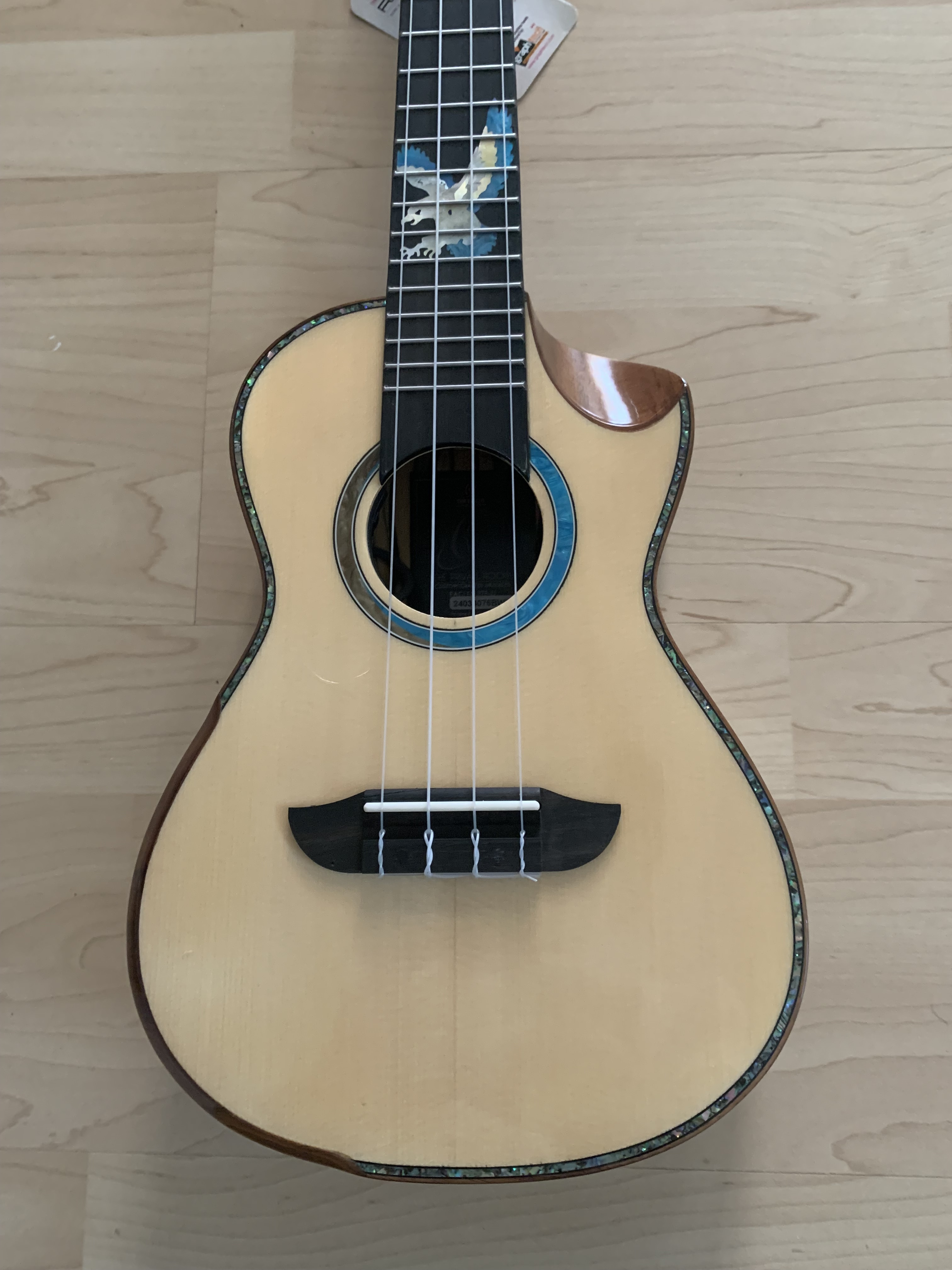 Ortega Konzert Ukulele Eaglesuite mit Gigbag + Tonabnehmer