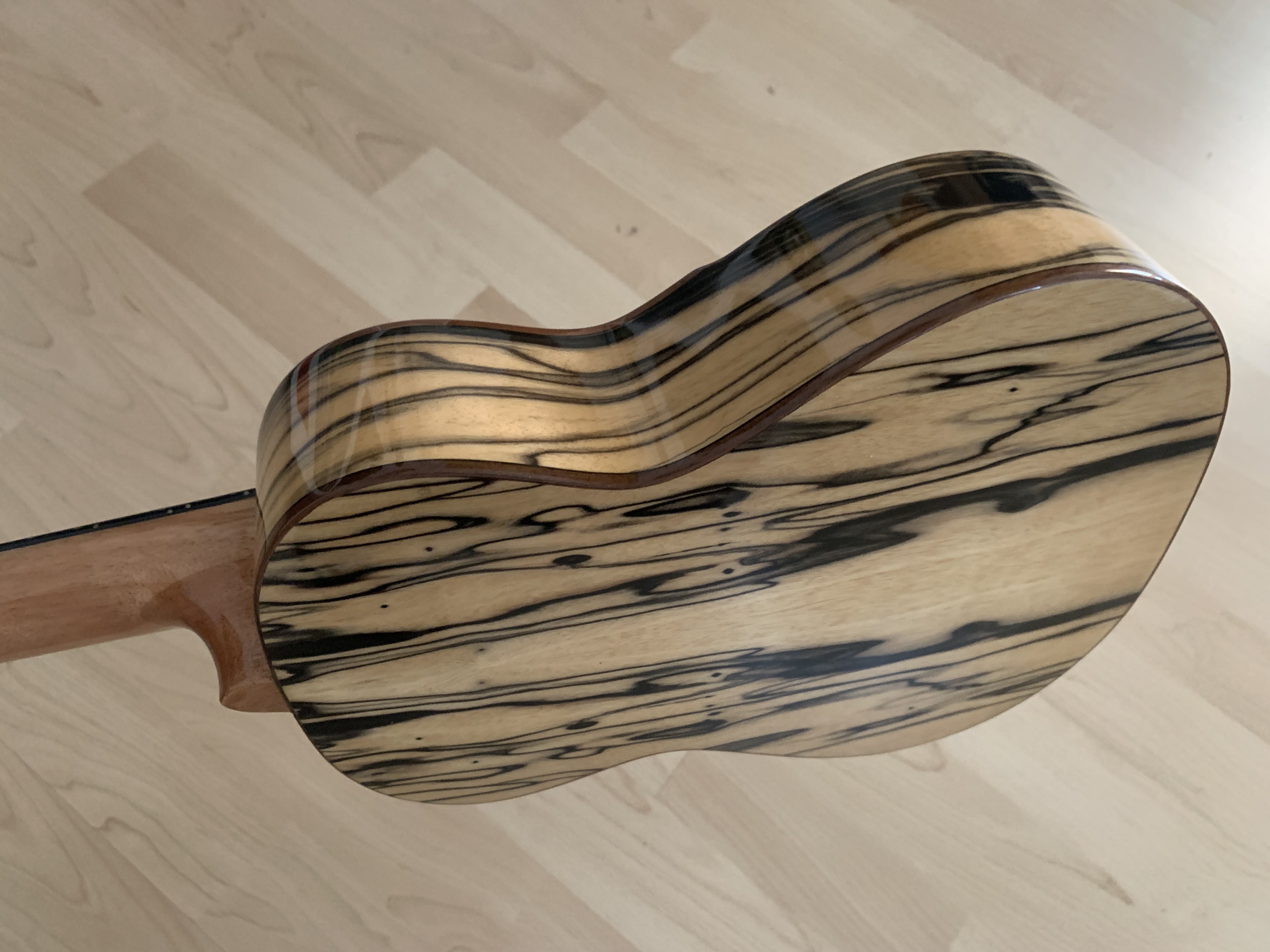 Ortega Konzert Ukulele Eaglesuite mit Gigbag + Tonabnehmer