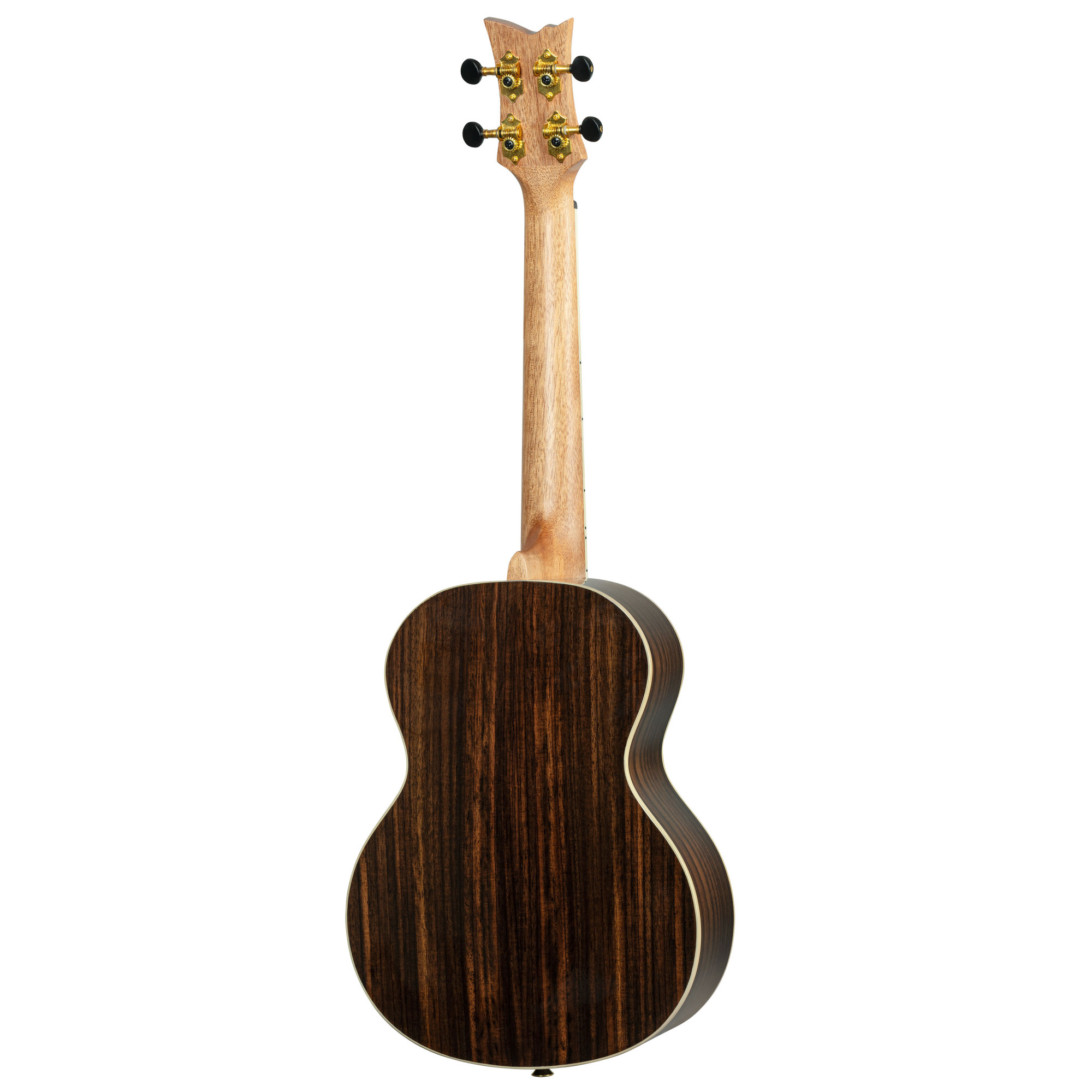 Ortega Tenor Ukulele mit Gigbag + Zubehör zum Sonderpreis