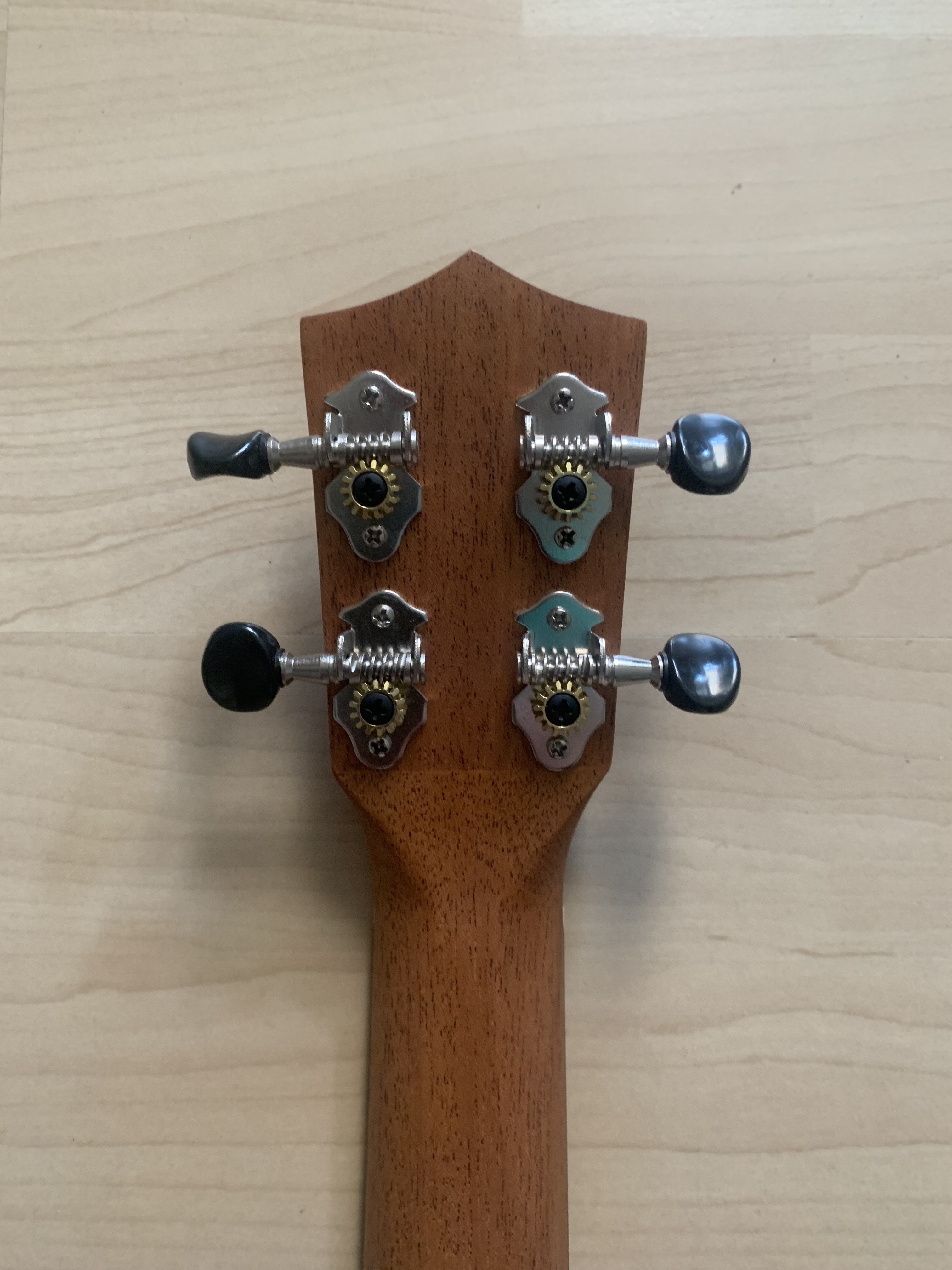 Tenor Ukulele mit Tonabnehmer und Gigbag massive Fichtendecke