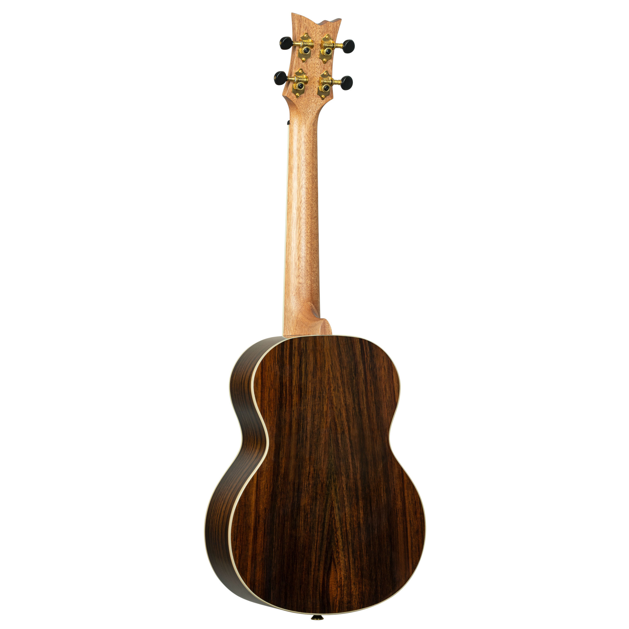 Ortega Tenor Ukulele mit Zubehör  *Sonderpreis*