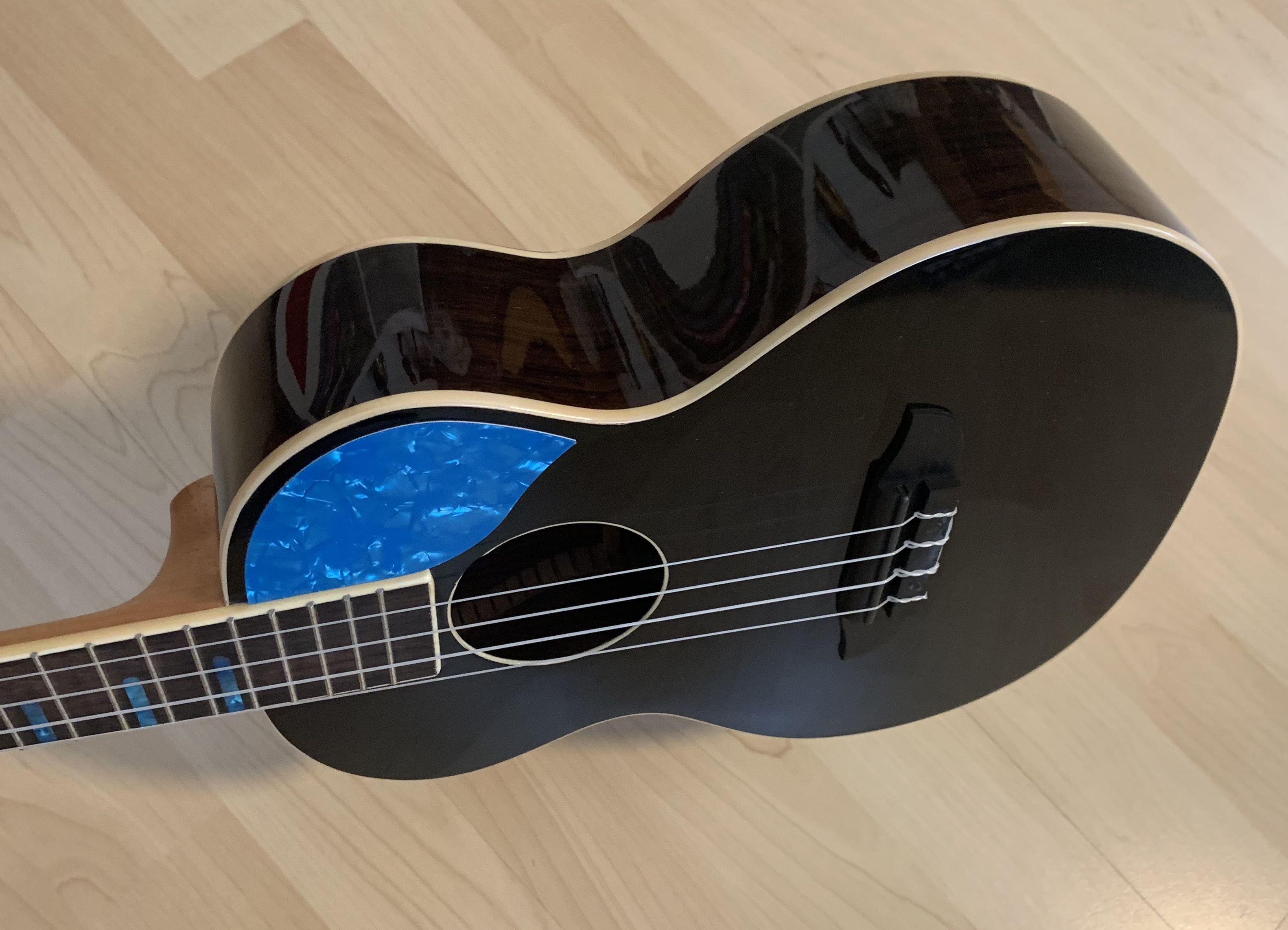 Ortega Tenor Ukulele mit Gigbag + Zubehör zum Sonderpreis