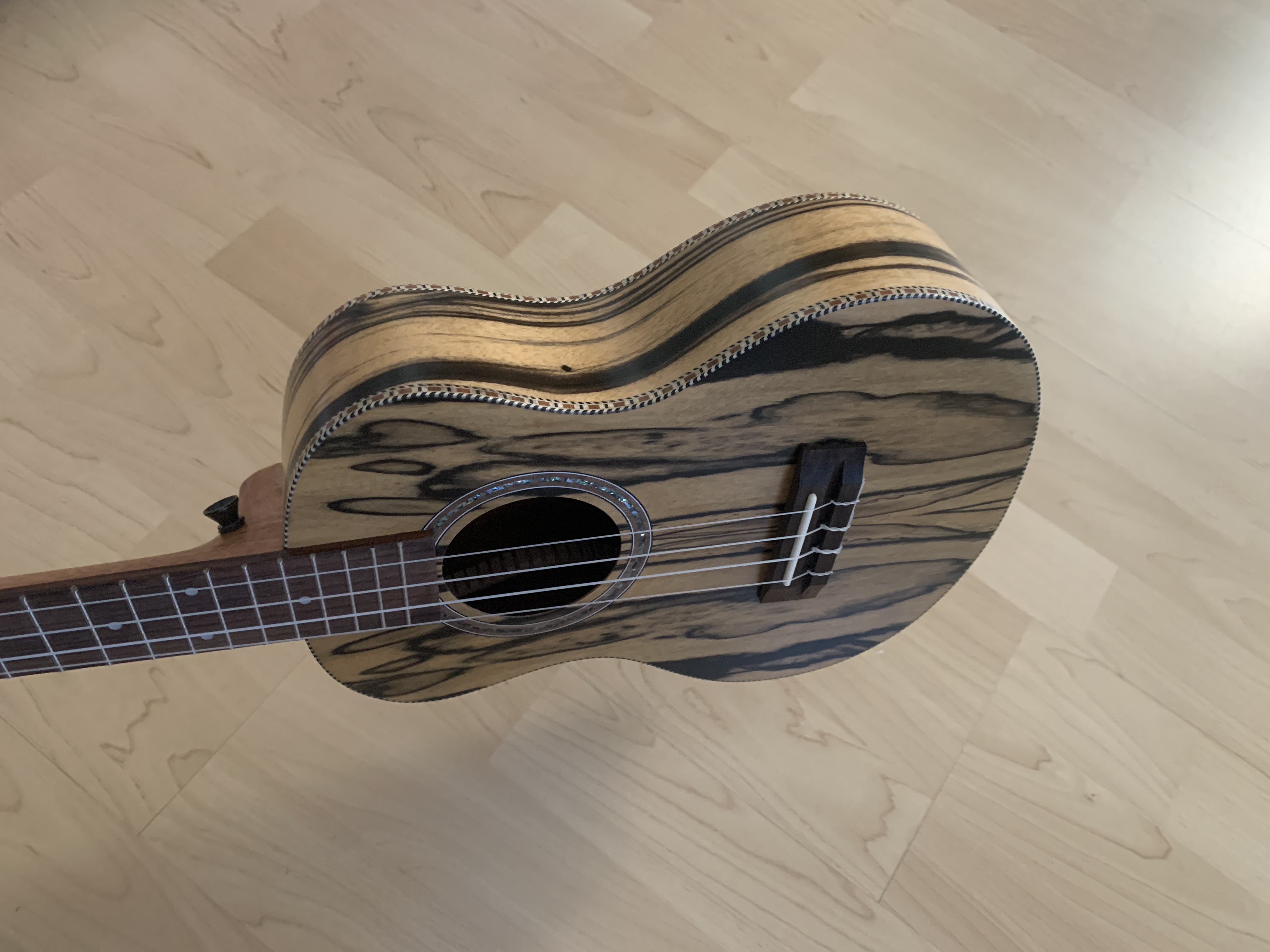 Tenor Ukulele aus weißem Ebenholz zum *SONDERPREIS*