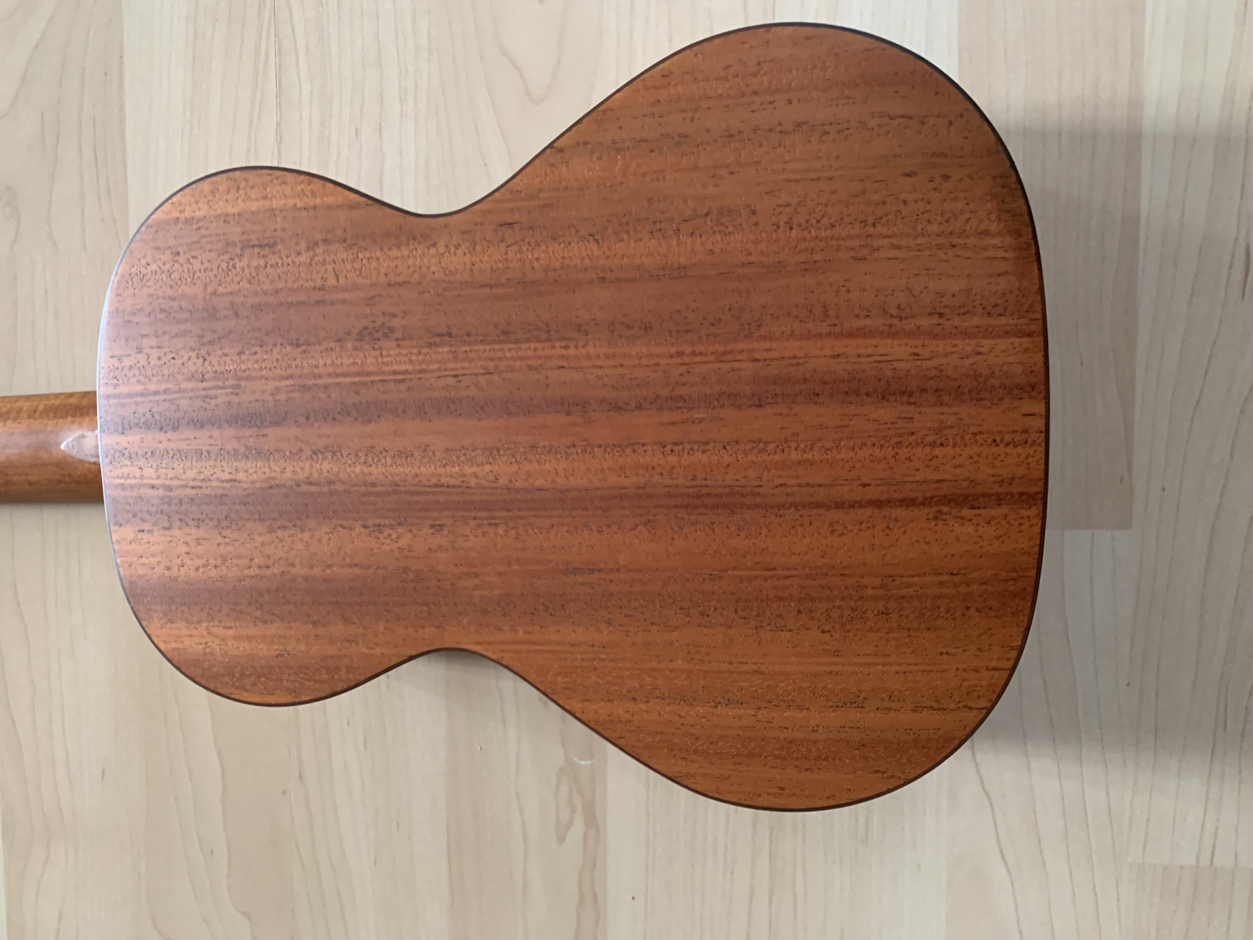 Tenor Ukulele mit massiver Sitka Fichtendecke + Gigbag