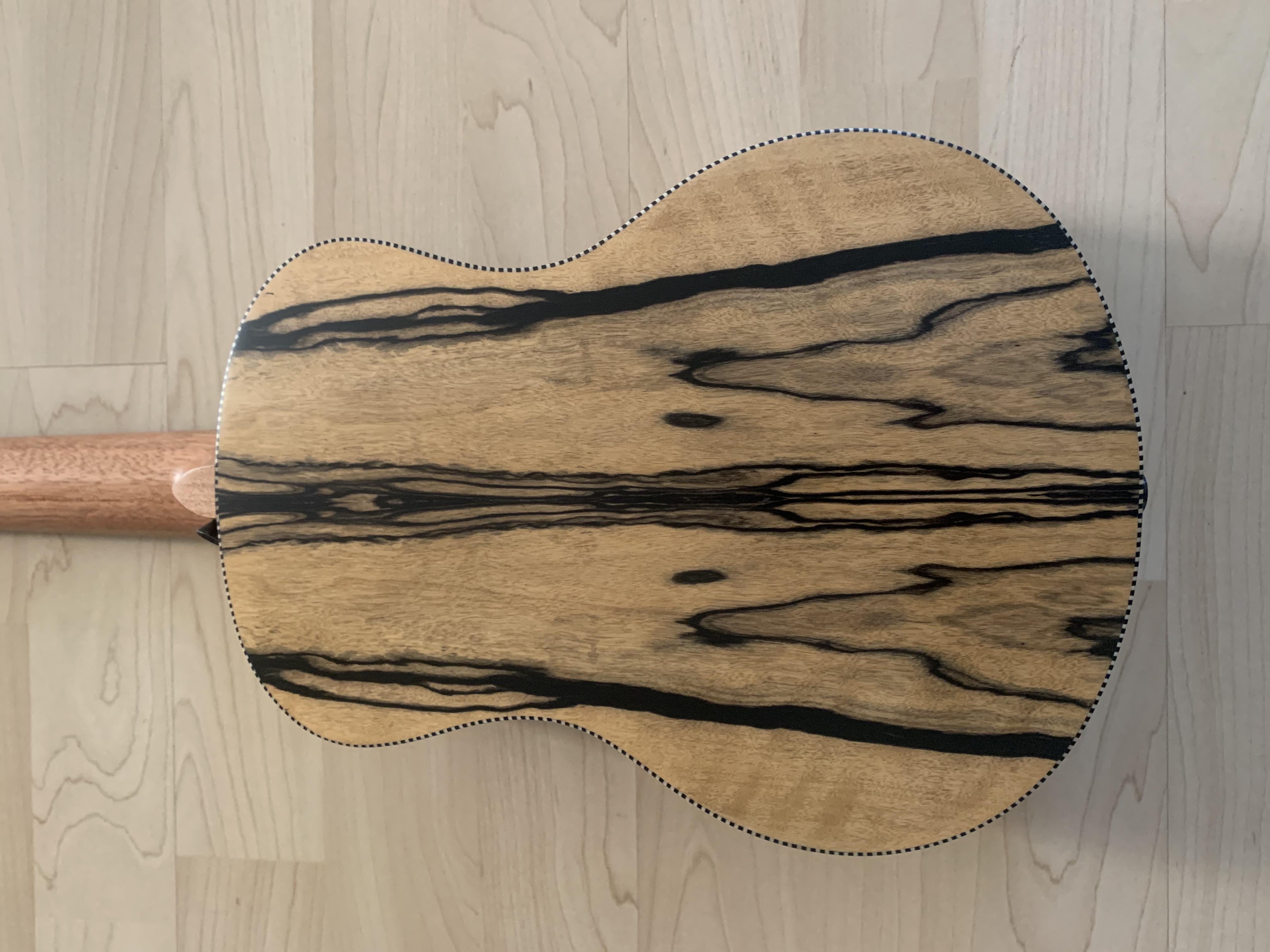 Tenor Ukulele aus weißem Ebenholz zum *SONDERPREIS*