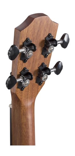 Tenor Ukulele mit massiver Sitka Fichtendecke + Gigbag