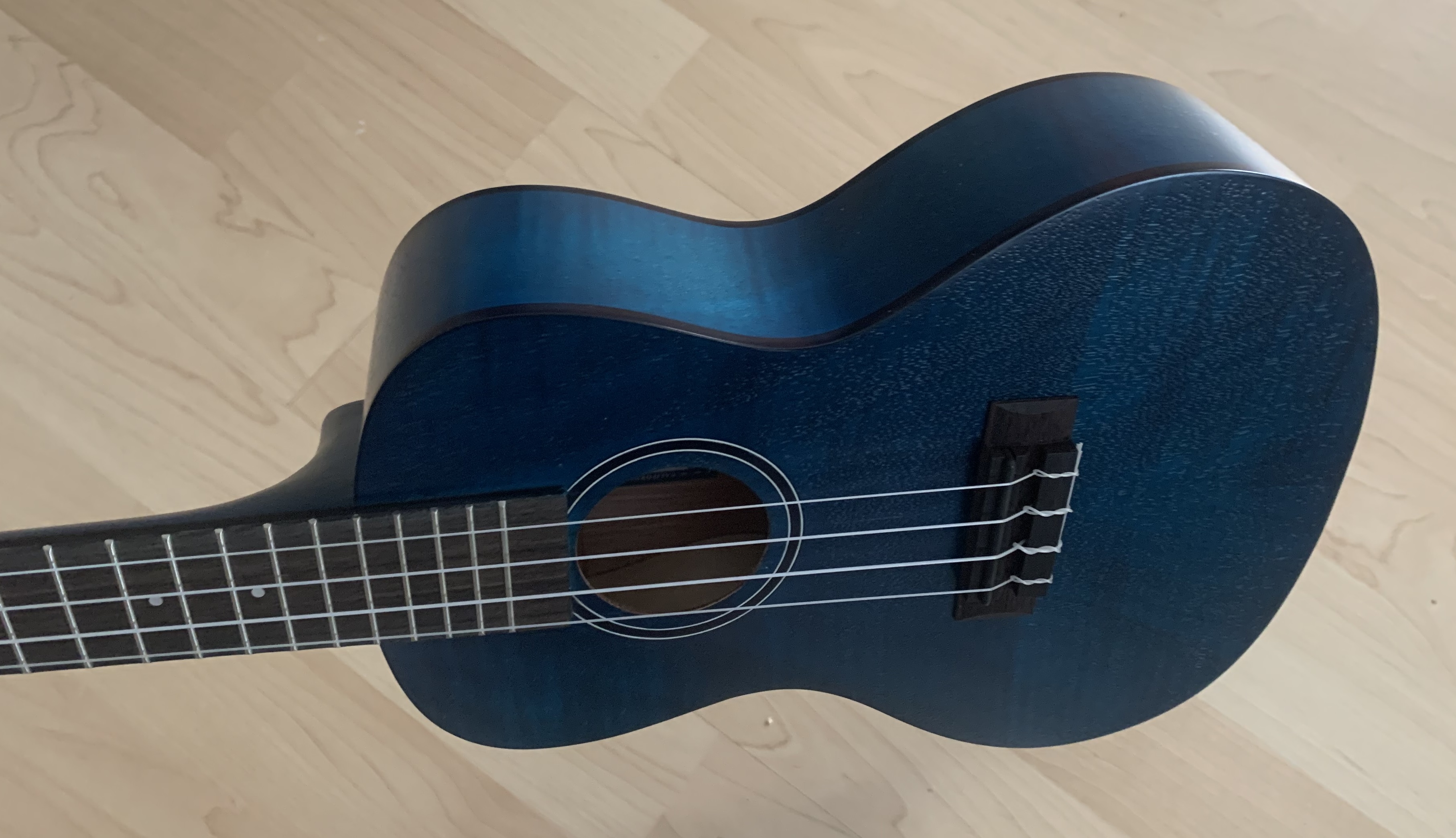Kala Konzert Ukulele mit Gigbag