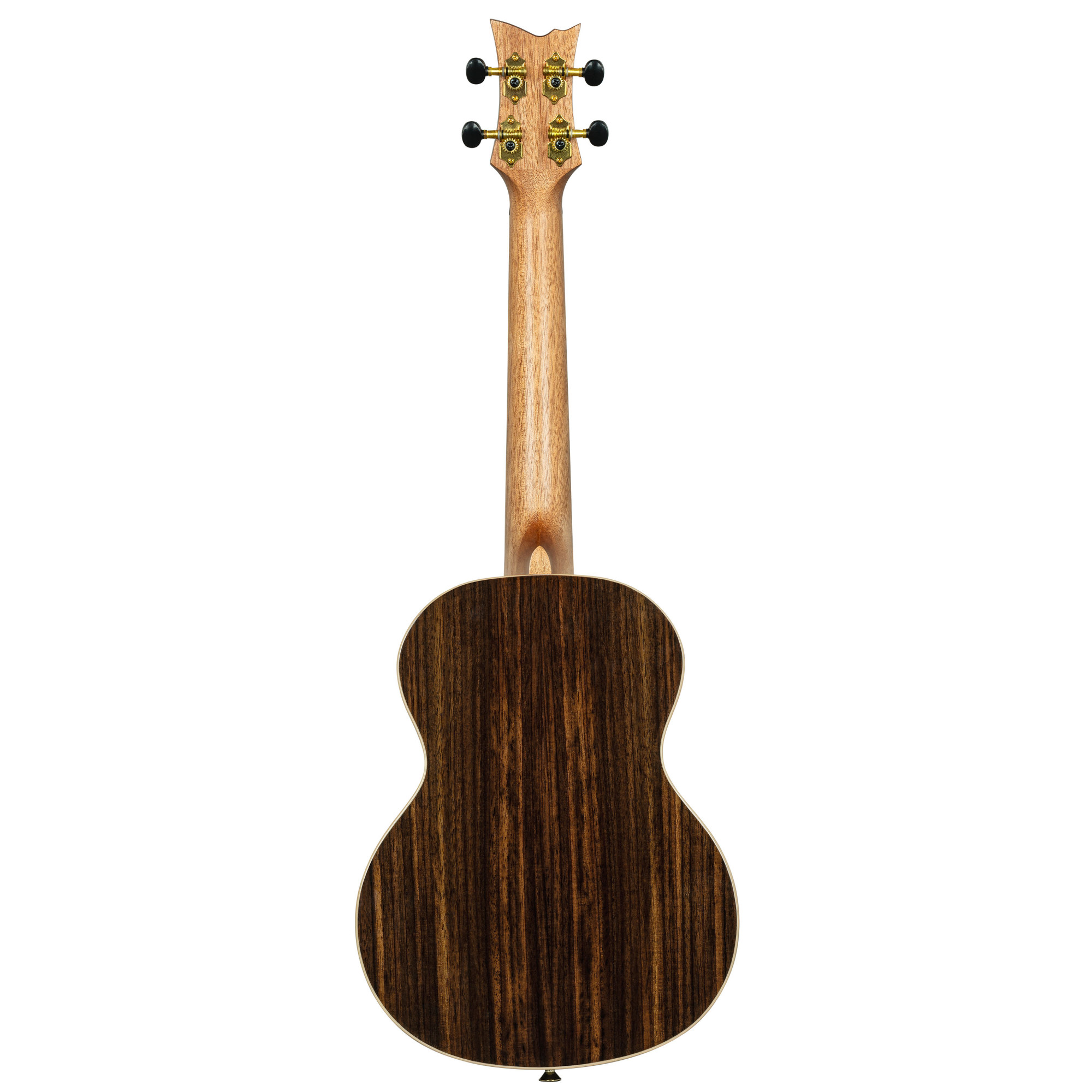 Ortega Tenor Ukulele mit Zubehör  *Sonderpreis*
