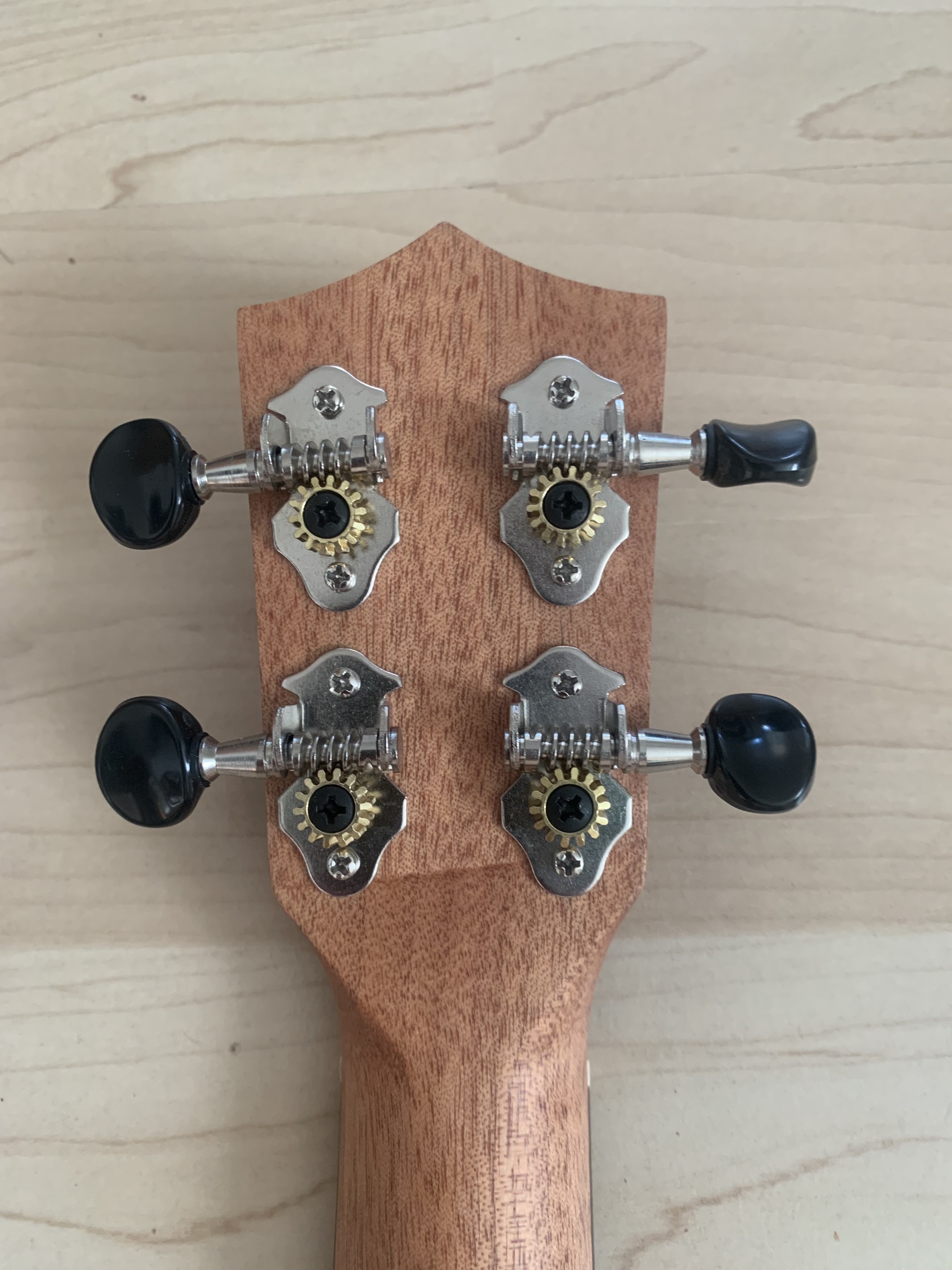 koki´o Konzert Ukulele mit Tonabnehmer + Gigbag  massive Mahagoni Decke + Gigbag