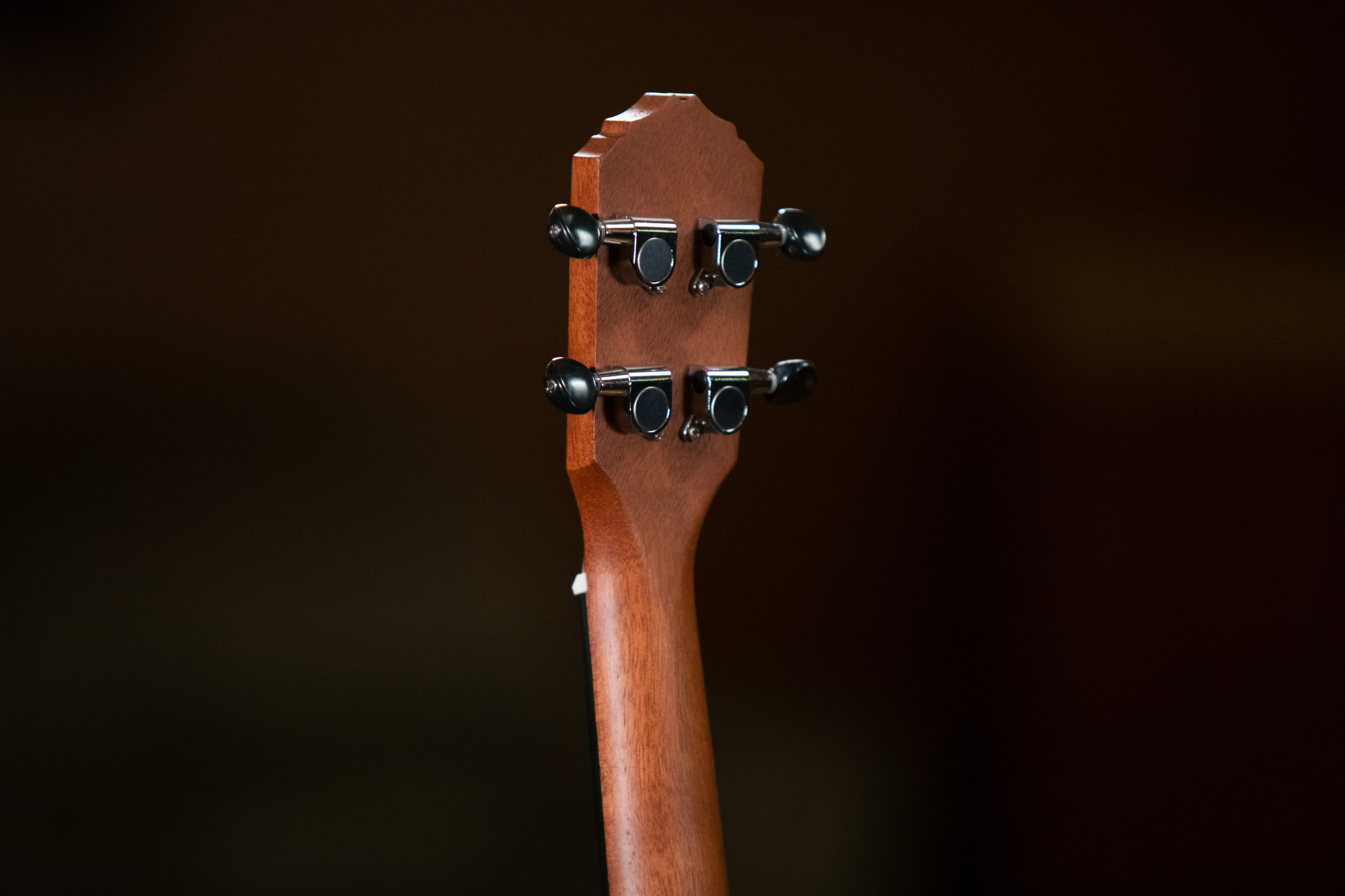 Ortega Tenor Ukulele 