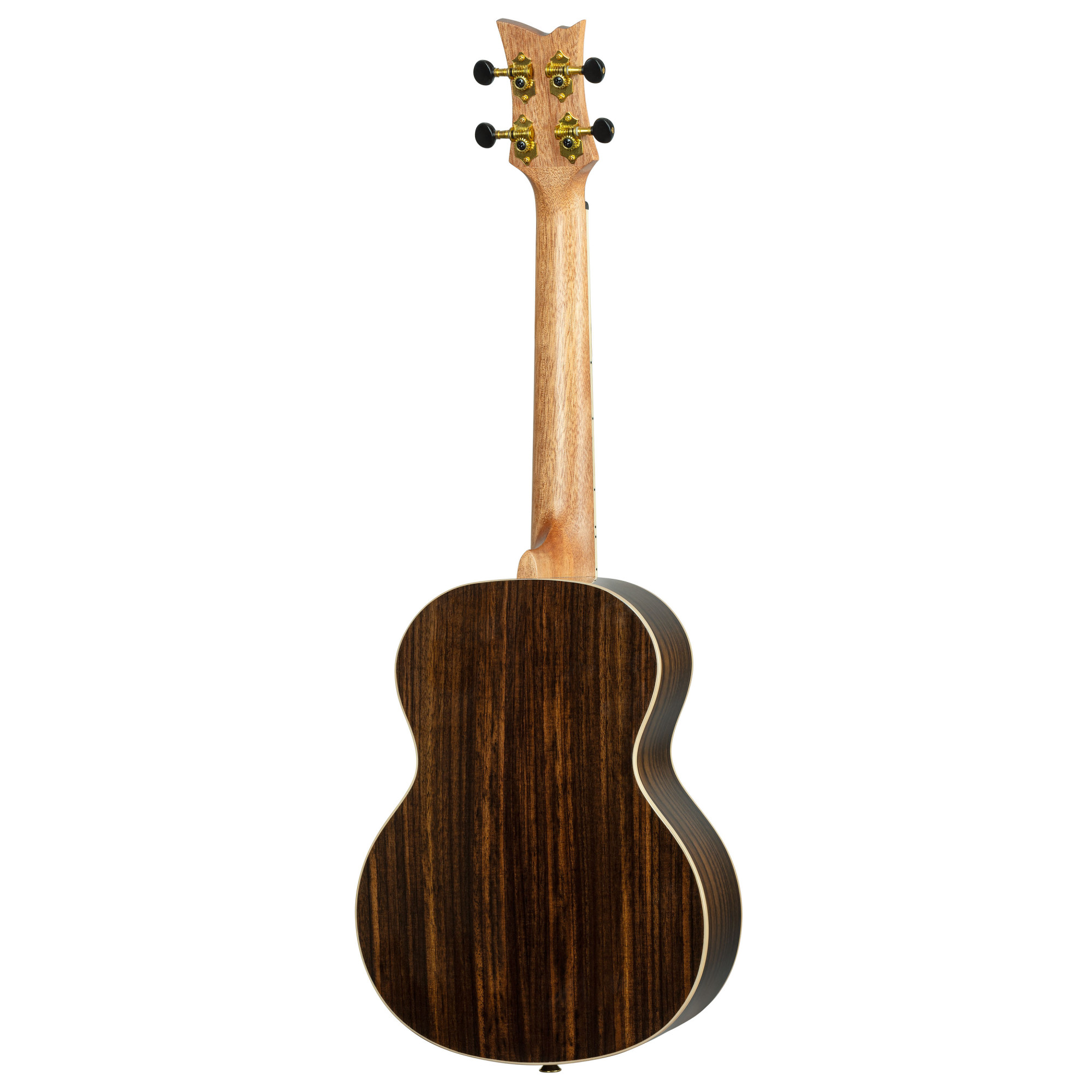 Ortega Tenor Ukulele mit Zubehör  *Sonderpreis*