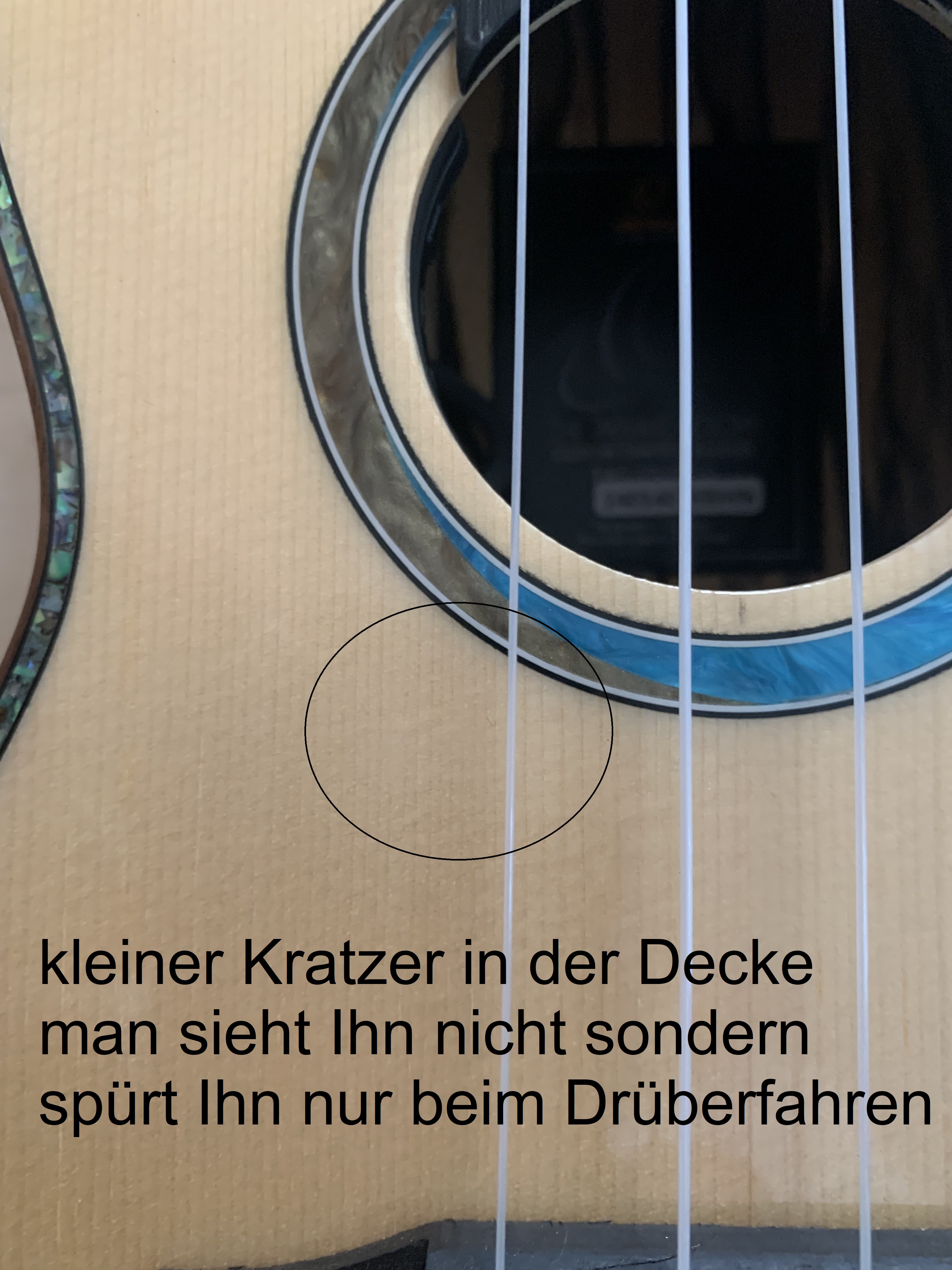 Ortega Konzert Ukulele Eaglesuite mit Gigbag + Tonabnehmer