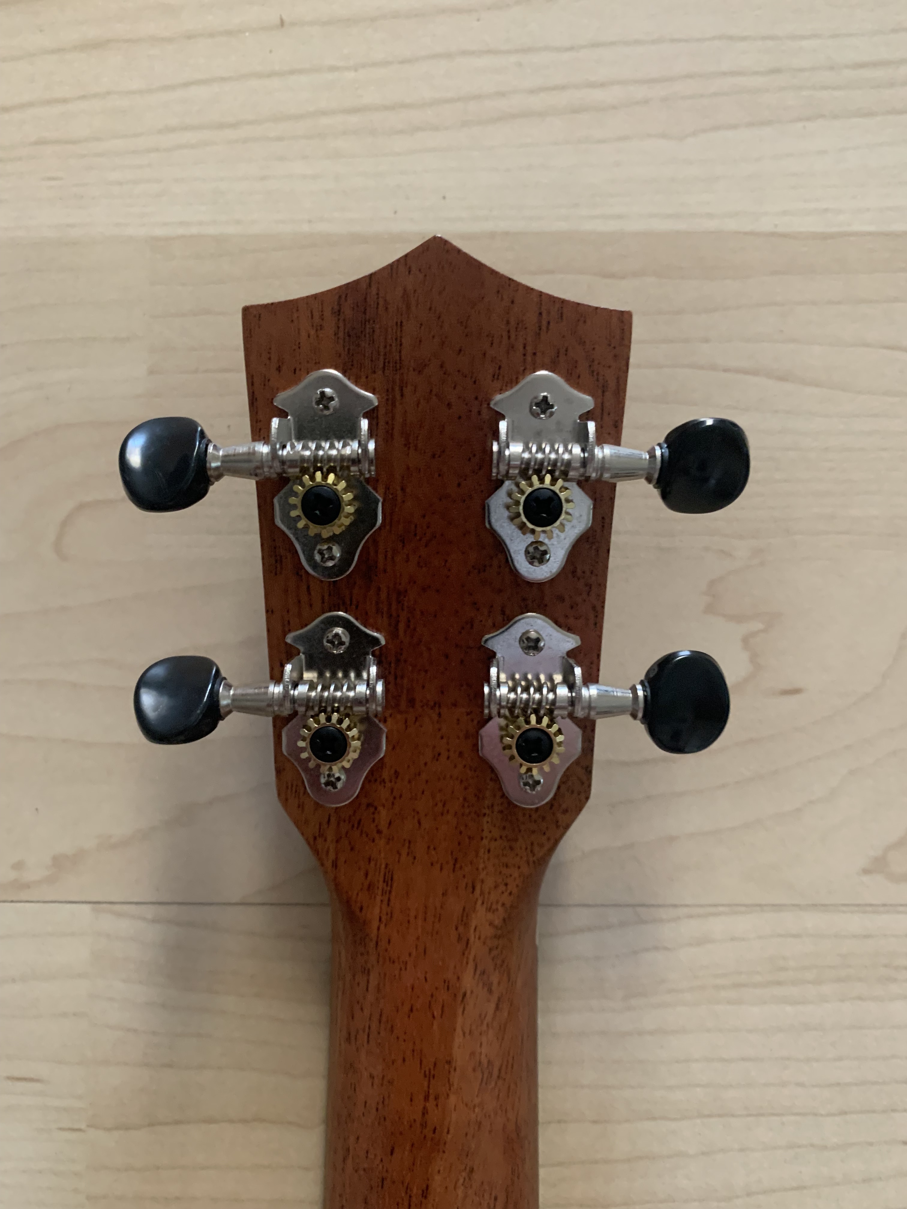 Tenor Ukulele aus KOA  mit massiver Decke + Gigbag