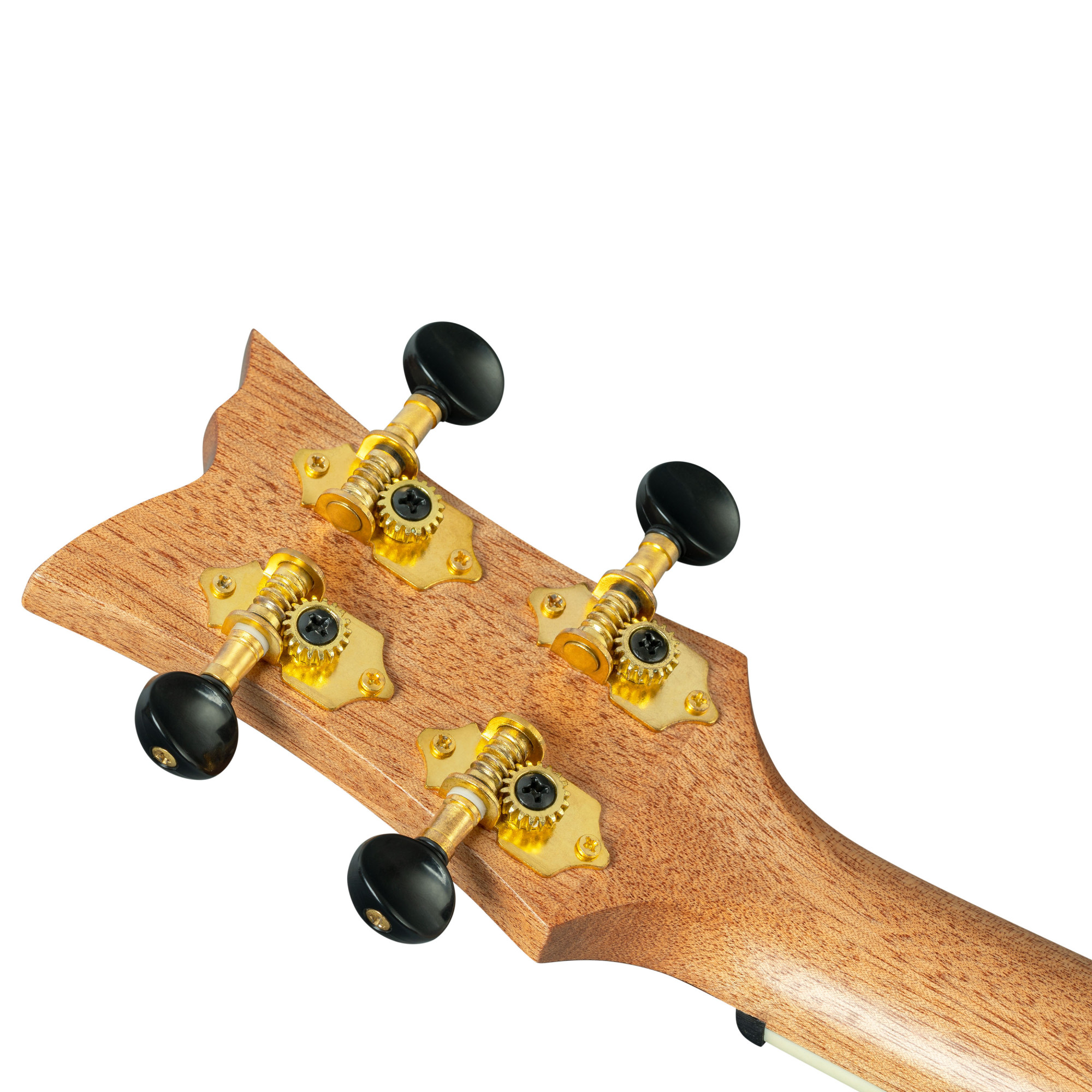 Ortega Tenor Ukulele mit Zubehör  *Sonderpreis*