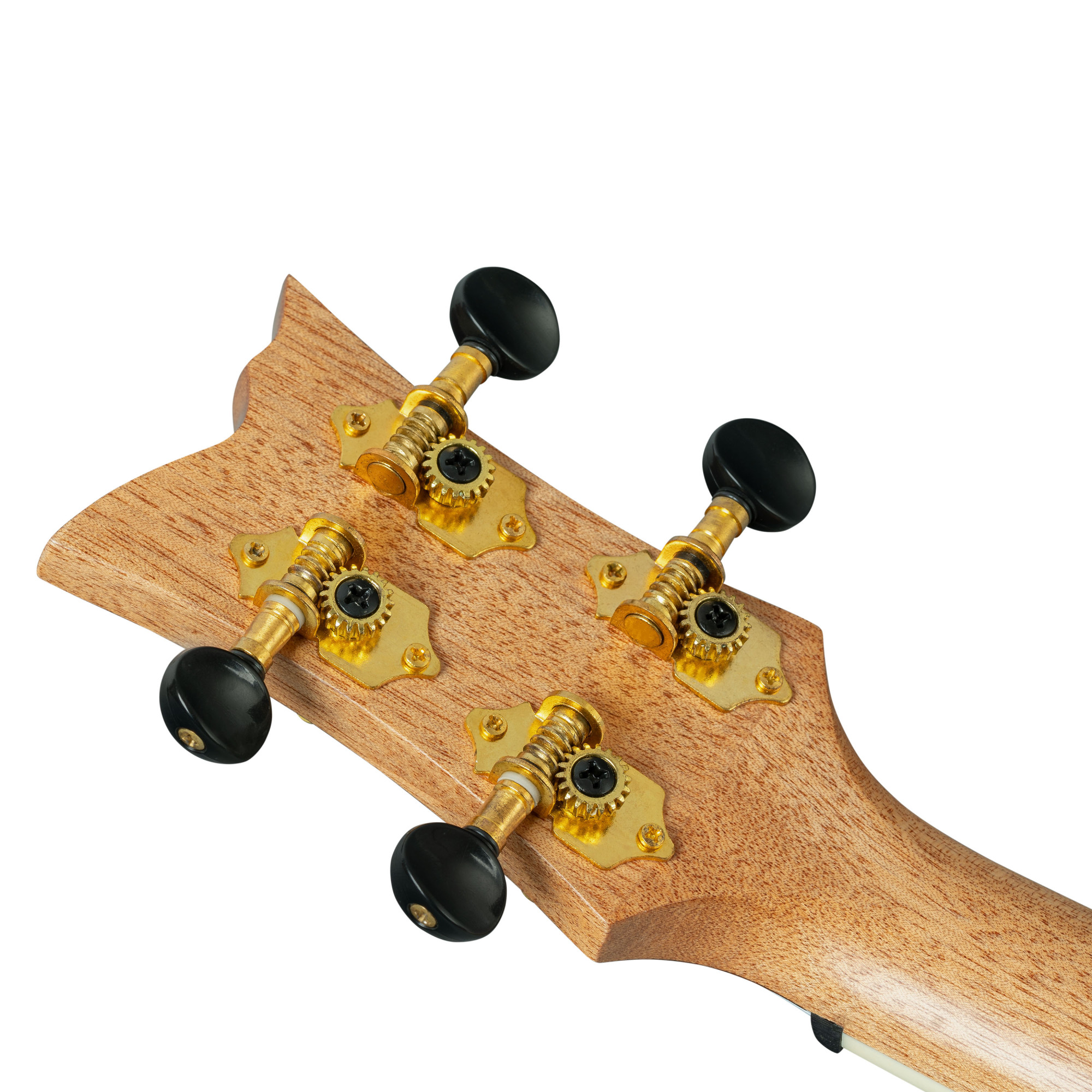 Ortega Tenor Ukulele mit Gigbag + Zubehör zum Sonderpreis