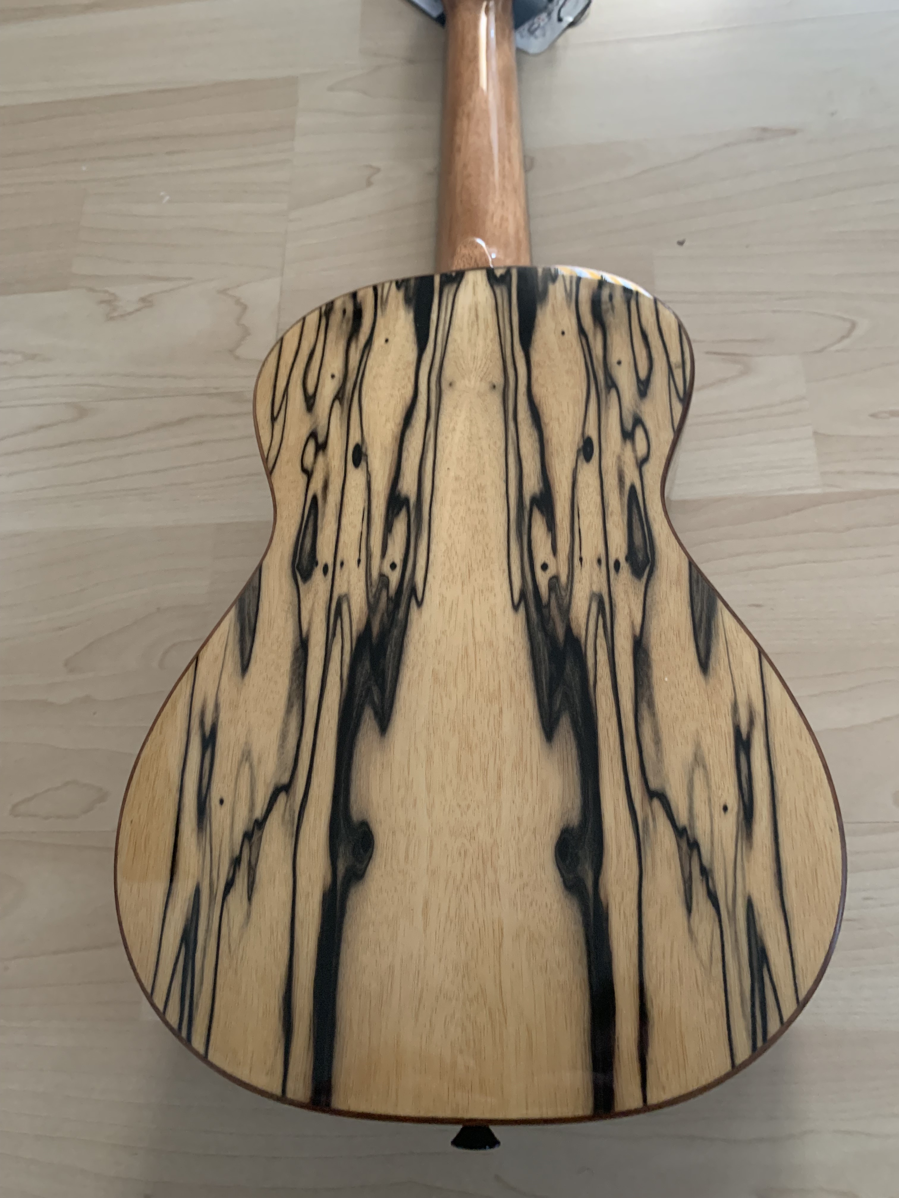 Ortega Konzert Ukulele Eaglesuite mit Gigbag + Tonabnehmer